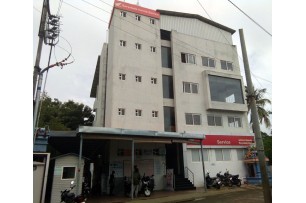 Head Service Head Service